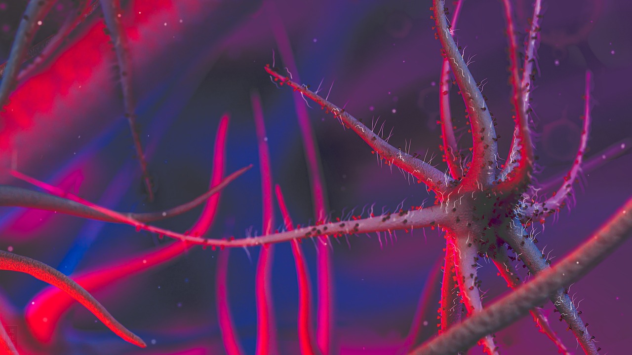 5 motivi per cui Varicolift è la soluzione alle vene varicose